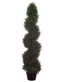 EF-484  4' Rosemary Spiral Topiary in Plastic Pot Green (Price is for a 2 PC Set)