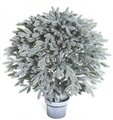 27" Plastic Balsam Ball Potted - 23.5" Width - White Wash