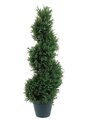 EF-403  	3' Rosemary Spiral Topiary w/952 Lvs. in Plastic Pot Green Indoor/Outdoor