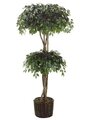 EF-4092   	7' Ficus Double Ball Topiary in Willow Basket