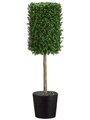 EF-4466  53"Hx12"Wx12"L Boxwood Topiary in Bamboo Container Green Indoor/Outdoor