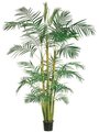 EF-35  9' Areca Palm Tree x3 in Round Pot Green (Price is for 2 Whole Palm Tree's)