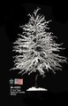 5 feet Alpine Ice Christmas Tree - White - Painted Black Natural Trunk