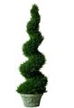 EF-1827 6' Outdoor Cypress Spiral Topiary