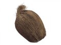 EF-246  7" Weighted Coconut  Brown (Price is for a 6pc set)