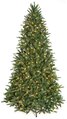 C-120804 7.5' Kennedy Fir Tree - Full Size - PVC/Plastic Tips - 550 Warm White LED Lights - 55" Width
