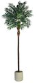 EF-1826  Bulb Areca Palm Tree Comes on a natural coco trunk