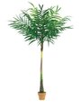 EF-160 10 feet Coconut Palm Tree x15 w/341 Lvs. Green  (Price is for 3 Sets of Palm Trees)