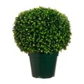 EF-353  	29" Tall 18 Wide " Wide Outdoor Boxwood  Jade Plant Ball in Pot  Green