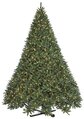 C-110374  15 feet Maritime Pine Tree - Full - 7,838 Green PVC Tips - 3,250 Warm White 5mm LED Lights - 111 inches Width - Black Metal Stand