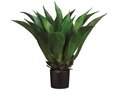 EF-616  	33 inches Giant Mexican Agave in Plastic Pot Green