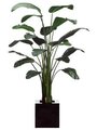 EF-4630   	8.5' Bird of Paradise Plant in Resin Planter Shown**