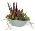 A-130180   11 inches POTTED MIX SUCCULENT
