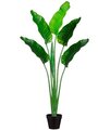 EF-005  	64 inches Outdoor UV Protected Plastic Bird of Paradise Plant in Pot Green