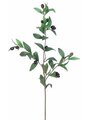 EF-366   	31.5 inches Olive Branch  Green Burgundy  (Price is per Dozen)