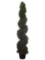 EF-485  	5' Outdoor Rosemary Spiral Topiary in Plastic Pot Green