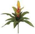 20" Bromeliad Plant - 14 Green Leaves - 5 Orange/Green Flowers