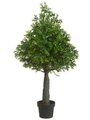 EF-570   35.4" Outdoor Boxwood Cone Topiary in Plastic Pot Green (Price is for a 2 pc set)