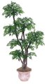EF-4045   6' Ming Aralia Tree comes on 5 Natural Dragonwood Trunks arranged in 6 Tiers with 2,856 Leaves