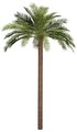 15' Phoenix Palm Tree - Synthetic Trunk - 28 Fronds - FIRE RETARDANT