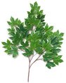 38 inches Sycamore Branch - 49 Leaves - Green - FIRE RETARDANT