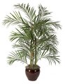 6' Areca Palm - 3 Fiberglass Trunks - 836 Leaves - Tutone Green