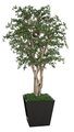 8 feet Live Oak Tree - Natural Wood Trunks - 7,128 Leaves- FIRE RETARDANT