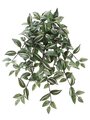 22.5 inches Wandering Jew Hanging Bush x15 with 214 Leaves Green Cream