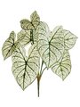 23" Caladium Leaf Bush   Two Tone Green