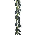 6' Magnolia Leaf Garland with 44 Leaves Green