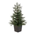 3 feet x 25 inches Potted Hemlock Pine 364T
