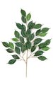 28 inches NITIDA FICUS Branch - 38 Leaves - Green - FIRE RETARDANT