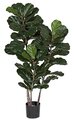 52 inches Fire Retardant Fiddle Leaf Fig - Natural Trunks - 59 Green Leaves - Weighted Base