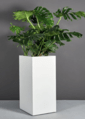 32 Inch Tall 16 Inch 16 Inch Wide  Fiberglass Cubes Planter