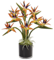 29" Bird Of Paradise In Black Glossy Cylinder