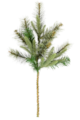 24" Cashmere Pine Artificial Christmas Spray