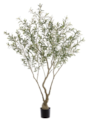 7 Foot Olive Leaf Tree in Plastic Pot (knock-Down Packing) Green