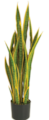 40 Inch Sansevieria Plant - Green/Yellow