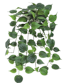 Firesafe Hanging Philodendron Leaf Bush | Length: 24 Inches Or 48 Inches