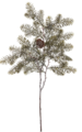28" Frosted Hemlock Pine Spray With Pine Cone Green Gray