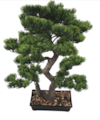 27" Handmade Artificial  Outdoor UV rated Potted Bonsai