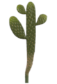14.5" Prickly Pear Cactus Pick Green