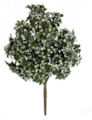 49" Polyblend Outdoor Cream/Green Mahonia Bush