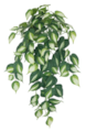 28" Natural Touch FireSafe Philodendron Cream Splash Bush