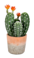 14" Artificial Green Cactus in Clay Pot