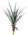 29 Inch Frosted Green/Blue Dracaena Agave Plant
