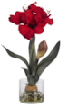 20" Red Amaryllis W/Round Vase