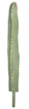 45.5" Grey/Green Column Saguaro Cactus with Beige Needles