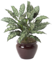 30" Fire Retardant  Aglaonema Plant is made with natural touch fabric material