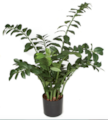PR-101710 43 inches Zamia Plant -  260 Green Leaves - Weighted Base